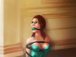 Luxury Girl Bound And Gagged – Bondage Art