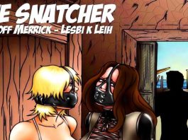 The-Snatcher-BDSM-Comics-Dofantasy-Cover