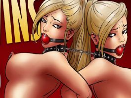 Confiscated-Twins-Part-6-Cover