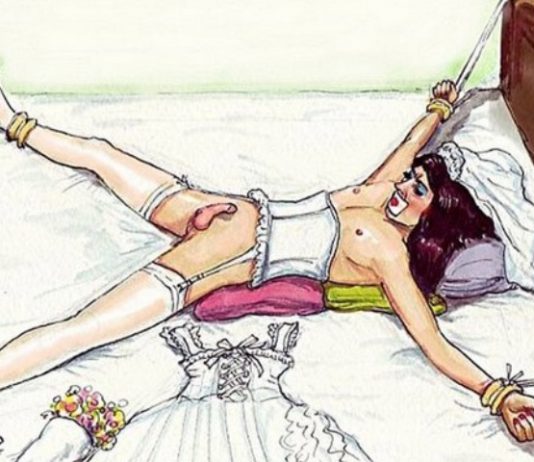 Forced Crossdresser Fantasies Forced-Crossdresser-Fantasies-Art